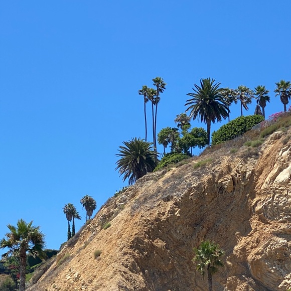 Meet your Posher, Shelly - Picture 1 of 1